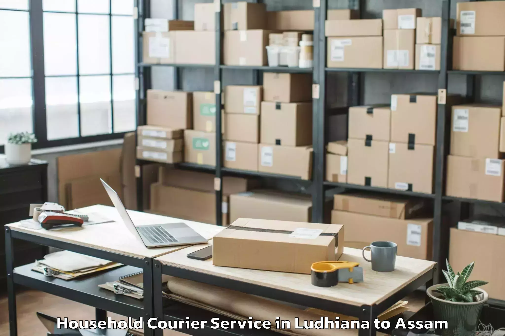 Book Ludhiana to Hojai Household Courier